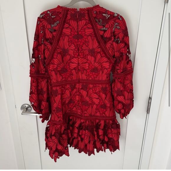 Alexis Fransisca Red Lace Mini Dress - Picture 5 of 6